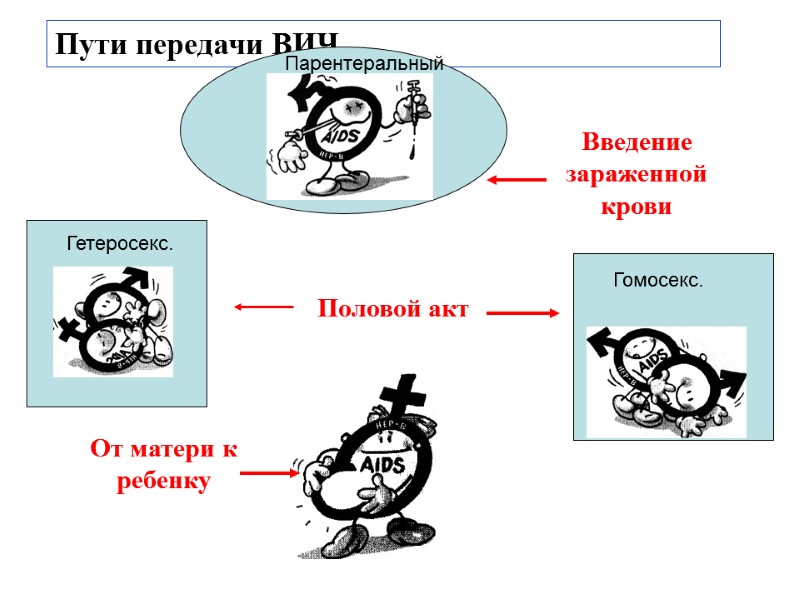 Пути передачи ВИЧ Введение зараженной крови Половой акт От матери к ребенку Гетеросекс. Гомосекс.